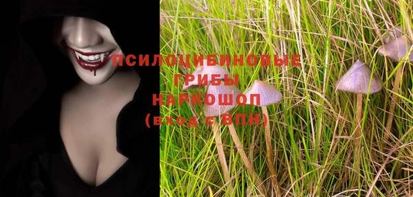 твердый Новодвинск