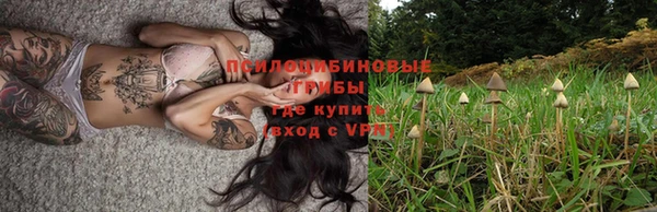 твердый Новодвинск