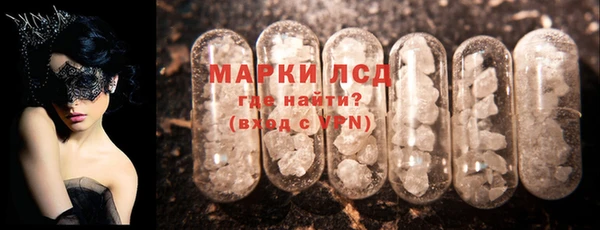 твердый Новодвинск