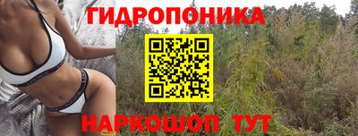 a pvp Берёзовский