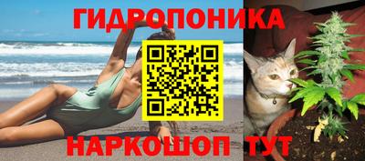 эйфоретик Гай