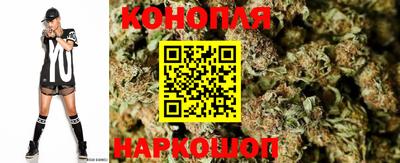скорость Гатчина