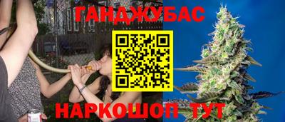 эйфоретик Гай
