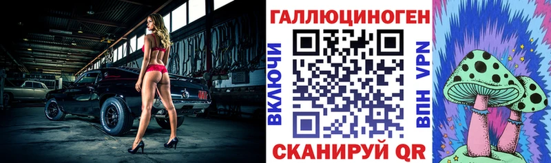 Псилоцибиновые грибы Psilocybe Волоколамск