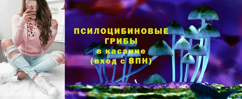 даркнет сайт  Волоколамск  Псилоцибиновые грибы мухоморы 