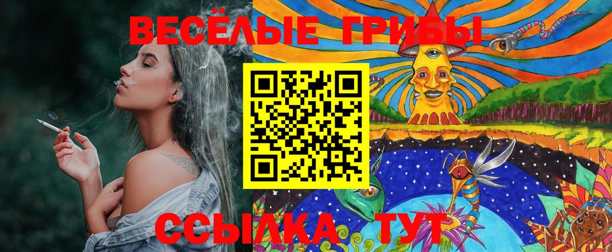 Галлюциногенные грибы Magic Shrooms Волоколамск