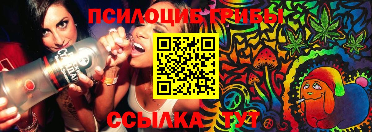 Галлюциногенные грибы Magic Shrooms Волоколамск