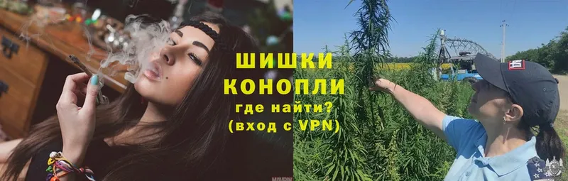 Бошки Шишки White Widow  Волоколамск 