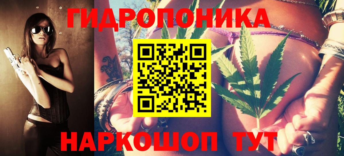 Шишки марихуана тримм  Вход с VPN  Марихуана Bruce Banner  Волоколамск  Шишки марихуана гибрид 